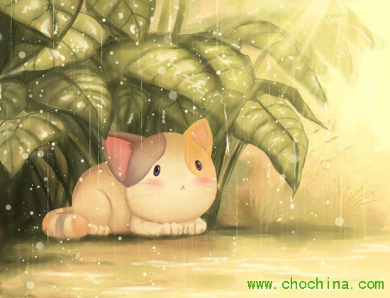 ˮƿ����(ch��ng)�Ƅٷ��t(�DƬ��Դ���p����)